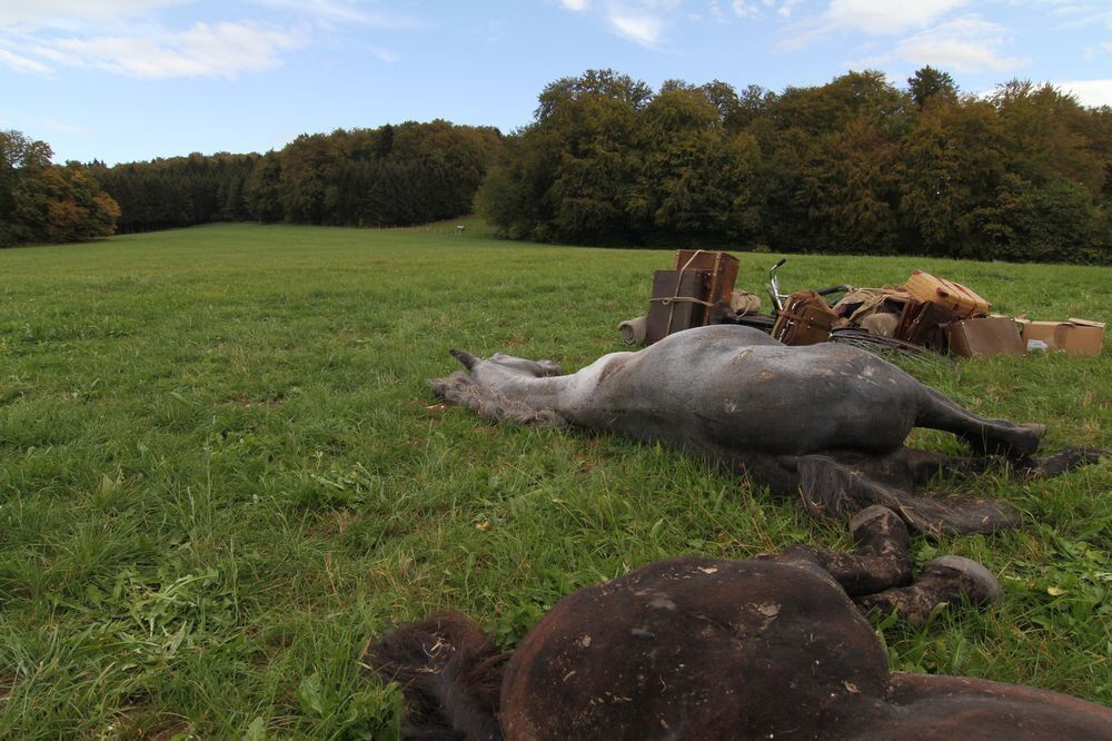 Dreh zum Film »Rommel« in Römerstein.