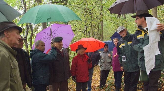 Außer dem Schietwetter nur gute Nachrichten: Förster Ulrich Baumbusch (rechts) und, Oberforstrat Georg Kemner erklären den Gemei