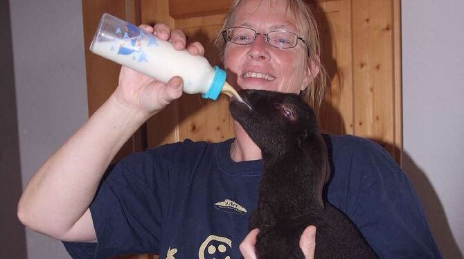 Ulrike Gadge und Tom: Das kleine Lamm wurde von seiner Mutter verstoßen und wird deshalb mit der Flasche aufgezogen. FOTO: SANDE