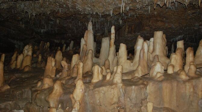 Die Hülbener Tropfsteinhöhle gleich neben der Straße nach Bad Urach ist nur einmal im Jahr für Besucher geöffnet. Foto: Schürer