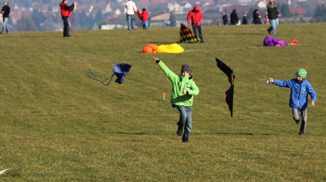 Kaum war der Nebel weg, schon waren die Drachen und ihre Lenker da: Das Fest soll 2012 wiederholt werden. FOTO: KOZJEK