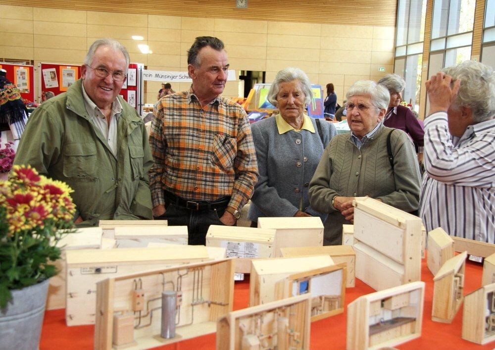 Hobbyausstellung Münsingen 2011