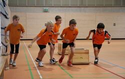 2. Gomaringer Fair-Energie Leichtathletik Cup 2011