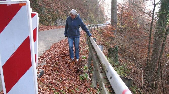 Gesine Teschke zeigt die Stelle kurz hinter der Einfahrt in die Steige von der Siedlung Göllesberg her kommend, wo die Straßenka