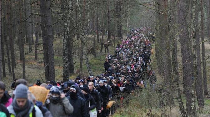 Castor-Gegner sind mit Strohballen, Helmen und Schutzbrillen in einem Waldstück im Wendland unterwegs, durch das der Zug spät