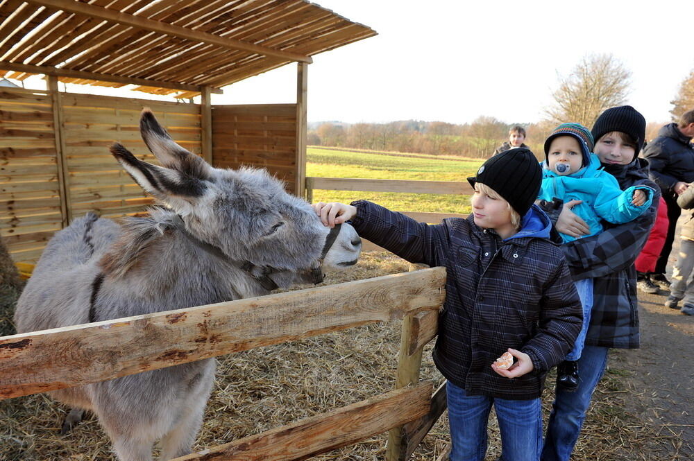 Weihnachtsmarkt Walddorfhäslach 2011