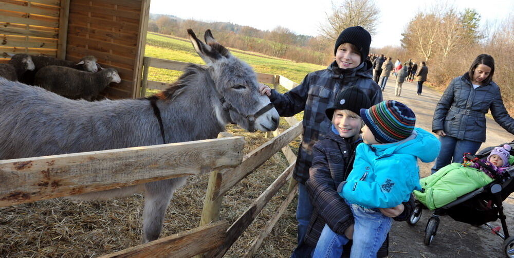 Weihnachtsmarkt Walddorfhäslach 2011