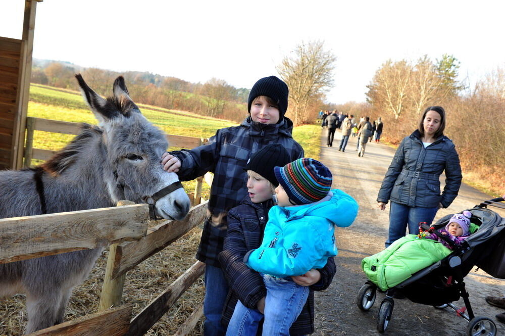 Weihnachtsmarkt Walddorfhäslach 2011