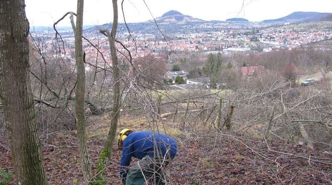 Freie Sicht auf Pfullingen und Achalm: Das ehemalige Weidegelände unterhalb der »Kleinen Wanne« wird entbuscht.  GEA-FOTO: BARAL