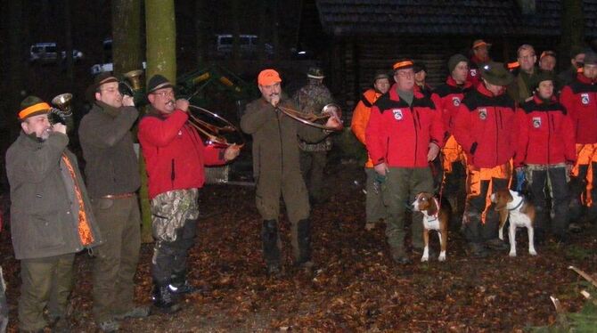 Hörnerklang bei der Drückjagd, organisiert von der Dettinger Jagdgemeinschaft. Mit sechzehn Wildsauen sowie einigen Füchsen und