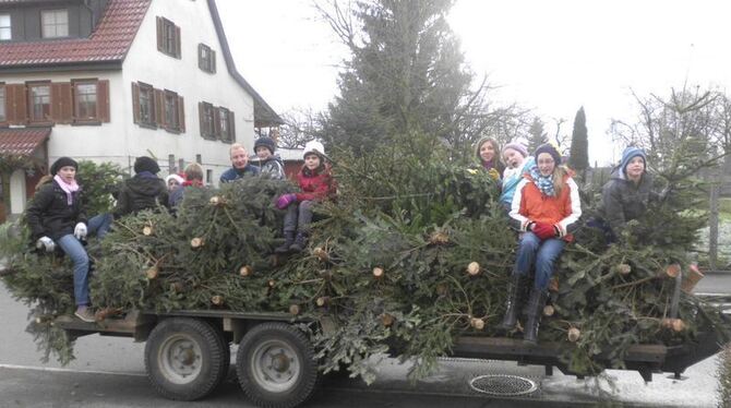 Jungscharler aus Reicheneck sammelten jetzt ausgediente Christbäume - für den guten Zweck.