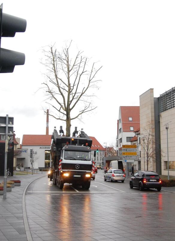 Baumverpflanzung Metzingen Januar 2012