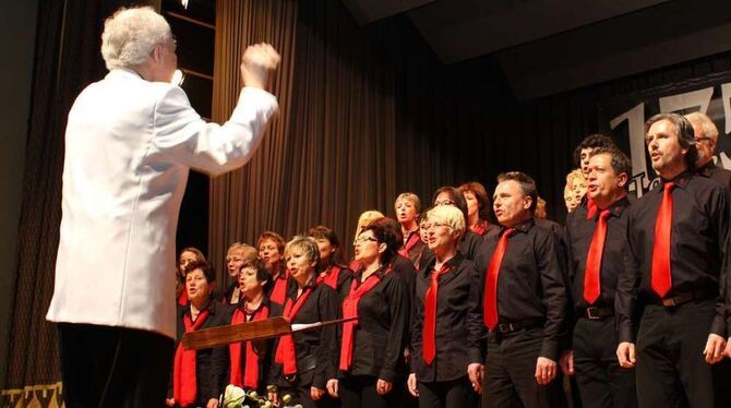 Das Ensemble ffortissimo des Liederkranzes begeisterte mit einem Simon & Garfunkel-Medley. FOTO: STRÖHLE