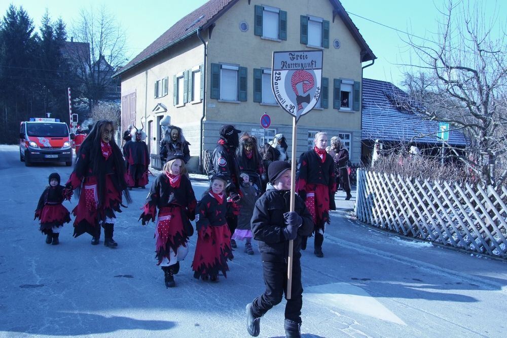 Kinderfasching Wannweil Februar 2012