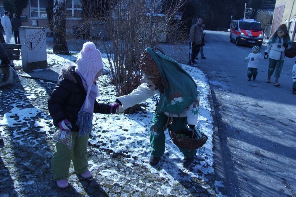 Kinderfasching Wannweil Februar 2012