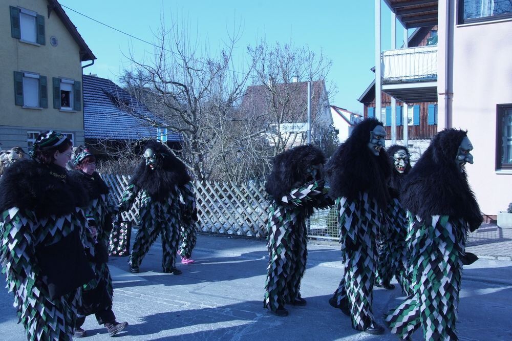 Kinderfasching Wannweil Februar 2012