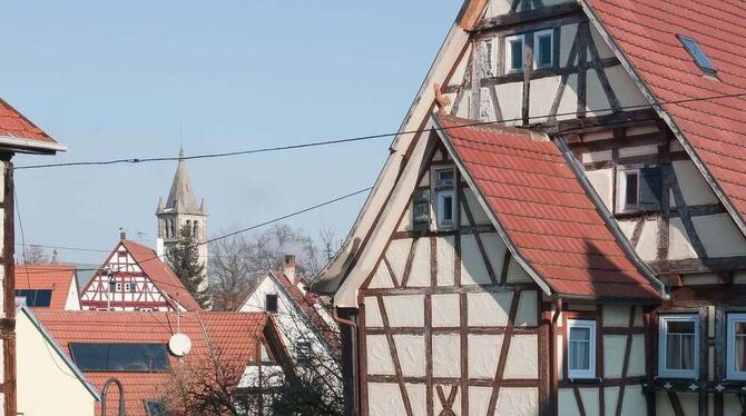 Dorfidylle: Ohmenhausen hat viele Gesichter - und will noch schöner werden. FOTOS: TRINKHAUS