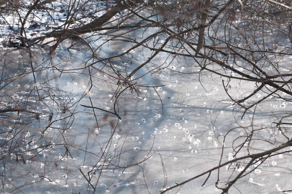 Wintereinbruch im Kreis Reutlingen Februar 2012