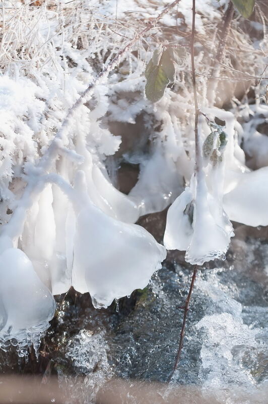 Wintereinbruch im Kreis Reutlingen Februar 2012