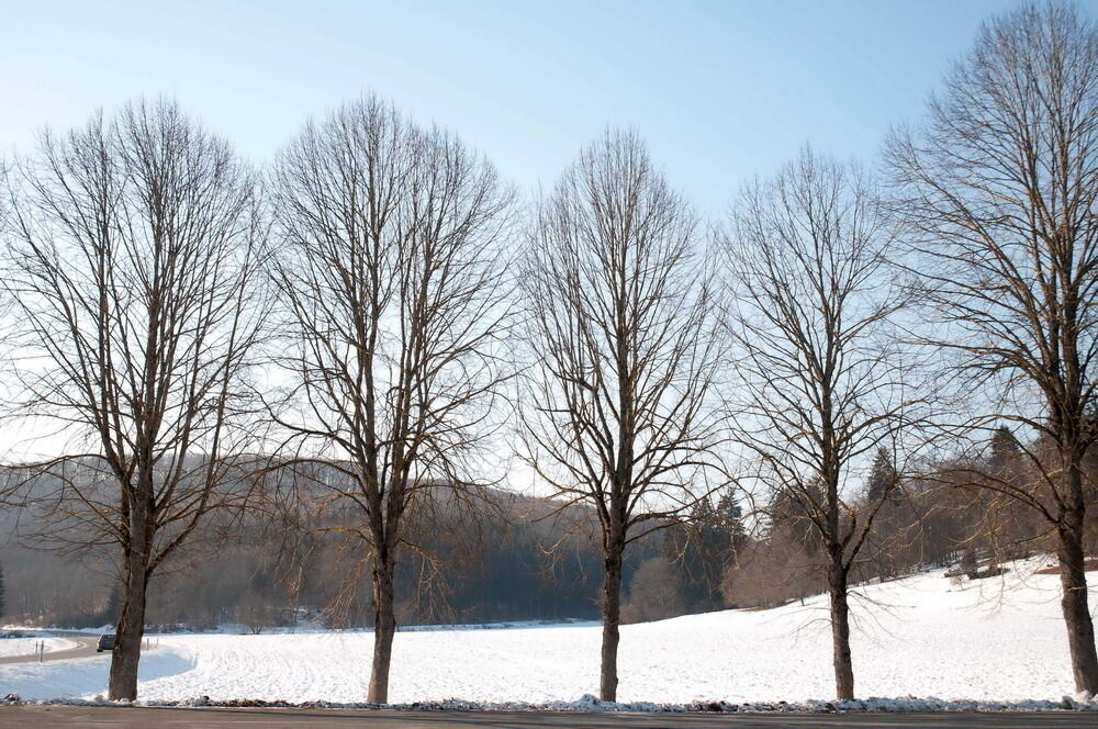 Wintereinbruch im Kreis Reutlingen Februar 2012