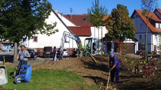 Nach den Arbeiten im Sommer erfolgte im Oktober die Übergabe von Bank und Baum auf der Schempp-Wiese in Hülben.