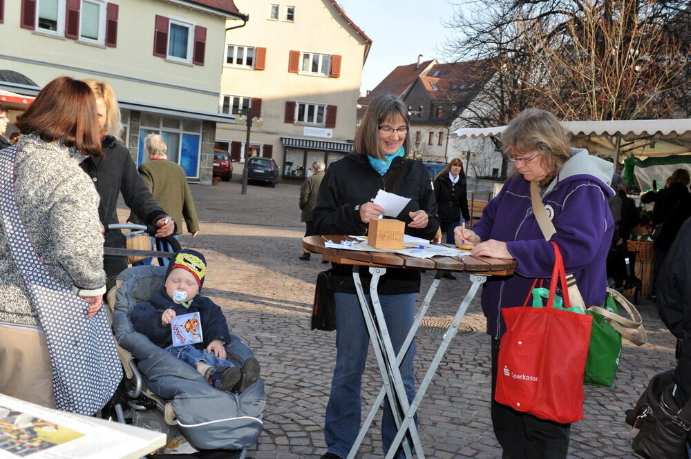 Lokaltermin Pfullingen Februar 2012