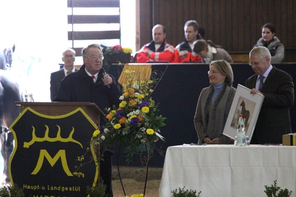 Reitpferde-Versteigerung Marbach März 2012