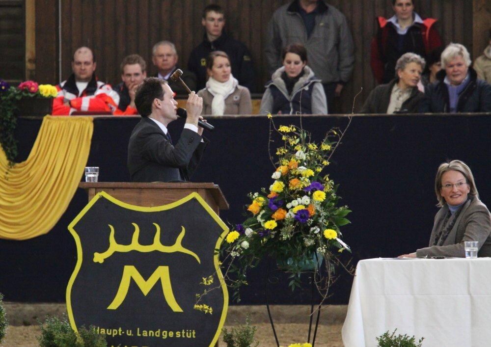 Reitpferde-Versteigerung Marbach März 2012