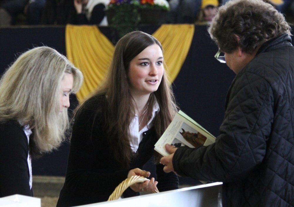 Reitpferde-Versteigerung Marbach März 2012