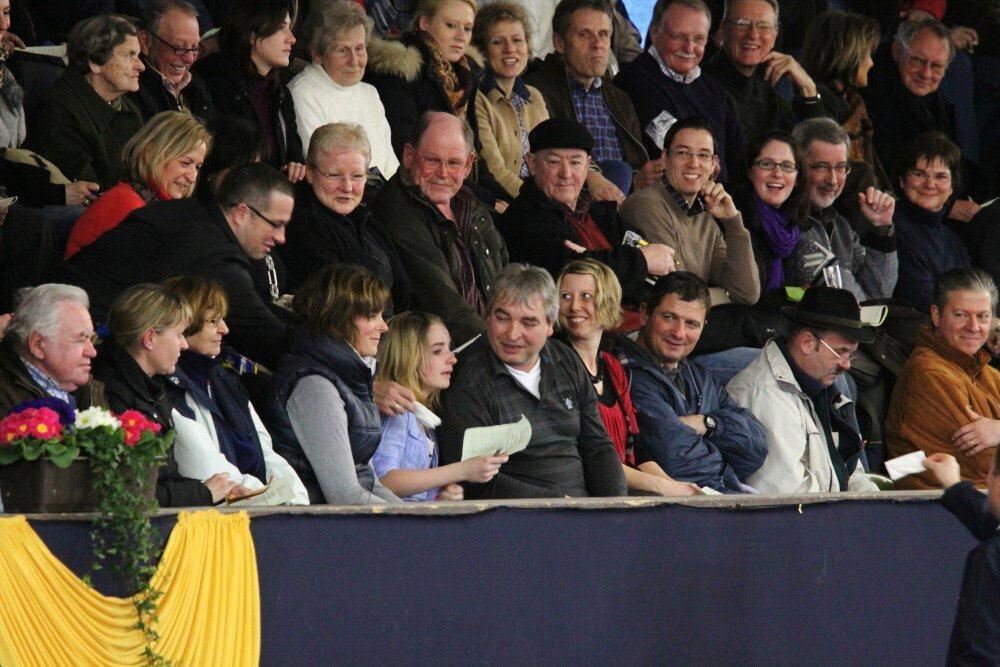 Reitpferde-Versteigerung Marbach März 2012