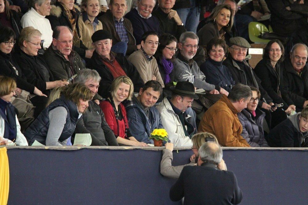 Reitpferde-Versteigerung Marbach März 2012