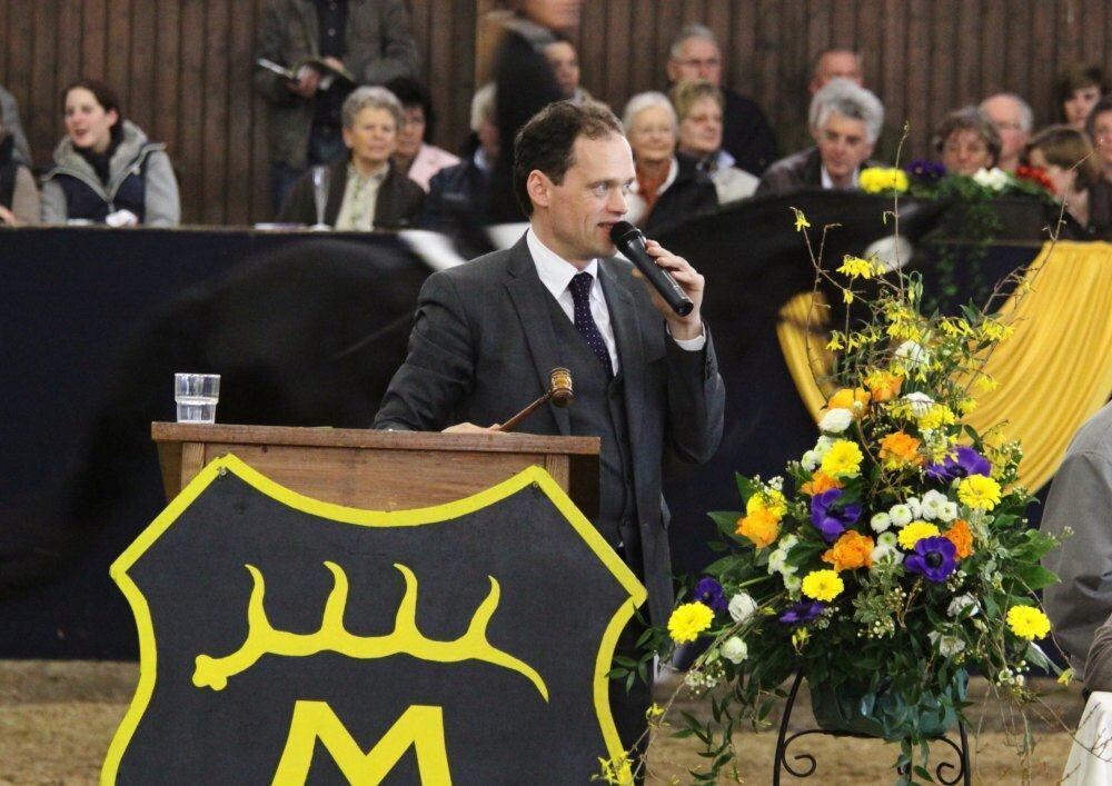 Reitpferde-Versteigerung Marbach März 2012