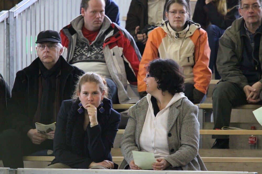 Reitpferde-Versteigerung Marbach März 2012