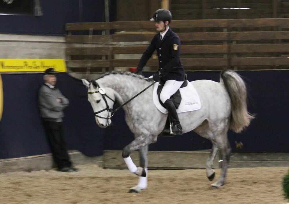 Reitpferde-Versteigerung Marbach März 2012