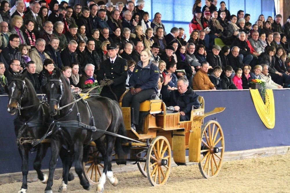 Reitpferde-Versteigerung Marbach März 2012