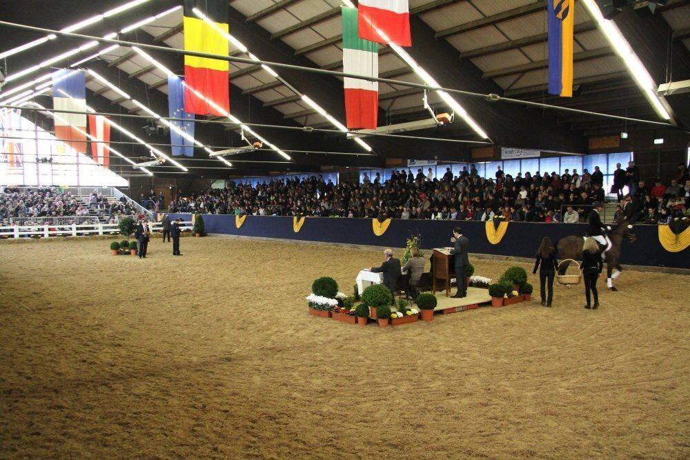 Reitpferde-Versteigerung Marbach März 2012