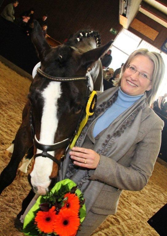 Reitpferde-Versteigerung Marbach März 2012