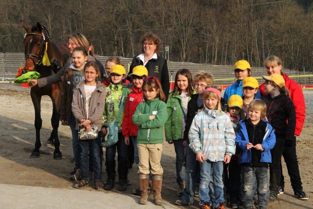 Reitpferde-Versteigerung Marbach März 2012