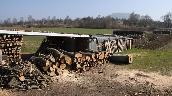 Auf dem Gemarkungsgebiet der Stadt Mössingen gibt es vielerorts Holzlager auf landwirtschaftlichen Flächen.