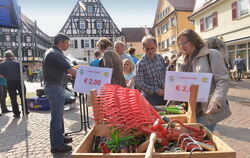 Verkaufsoffener Sonntag in Pfullingen 25.03.2012