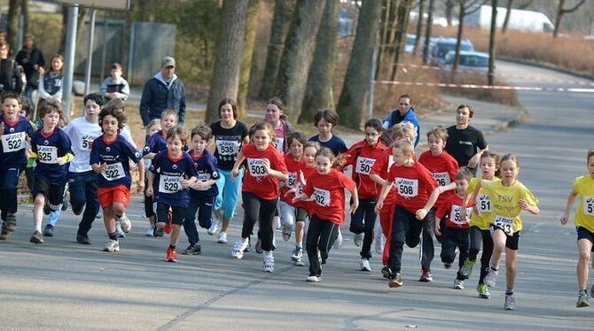 Auf die Plätze, fertig und losgeht's im Sauseschritt ab in den Ohmenhäuser Wald: Der Schülerlauf über 2,2 Kilometer war eine ras