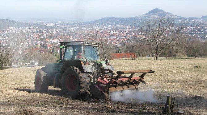 Freie Sicht auf Pfullingen: Das ehemalige Weidegelände unterhalb der »Kleinen Wanne« wird wiederbelebt.