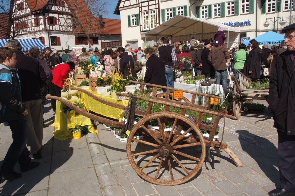 Frühlingserwachen Dettingen 2012