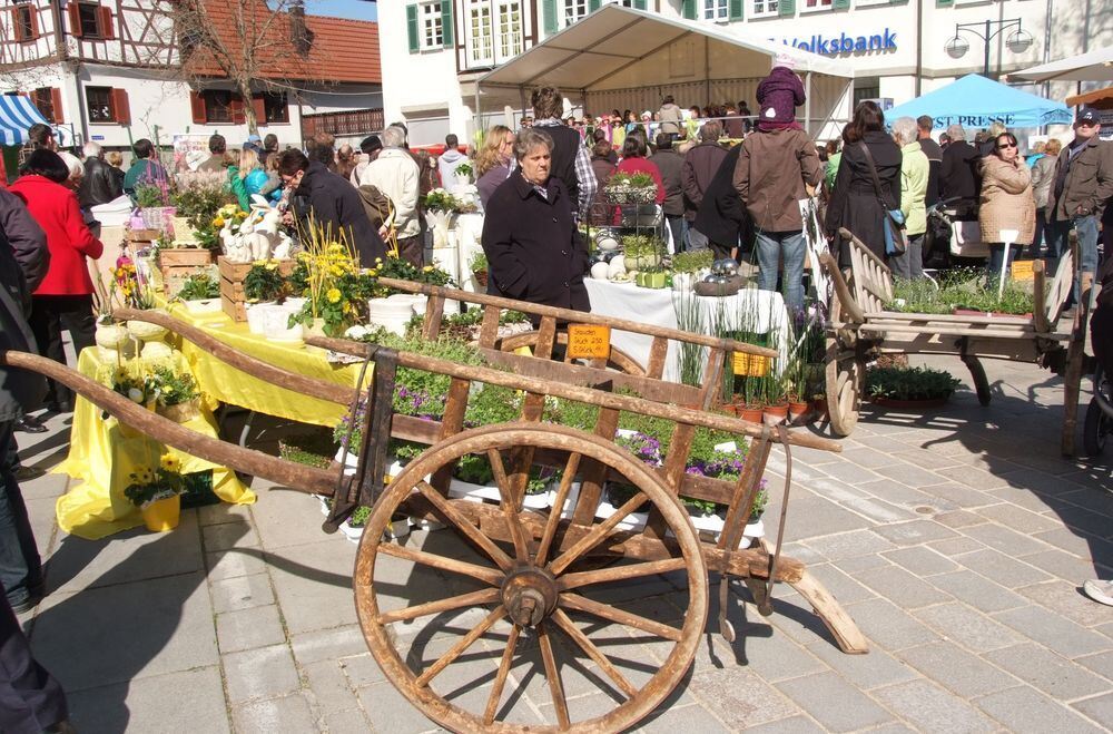 Frühlingserwachen Dettingen 2012