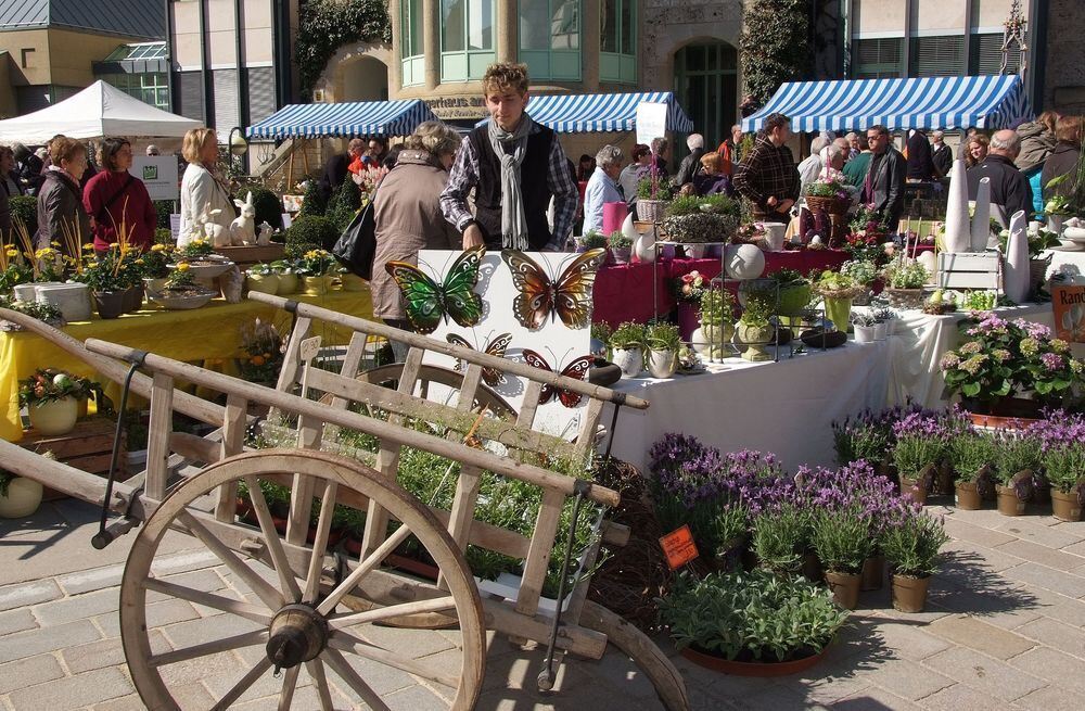 Frühlingserwachen Dettingen 2012