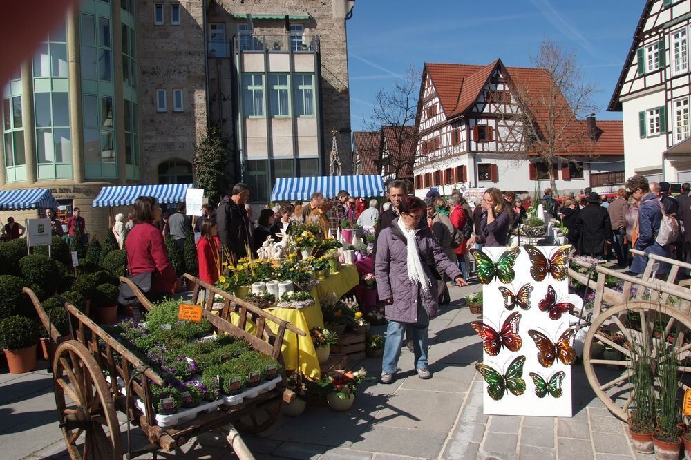 Frühlingserwachen Dettingen 2012