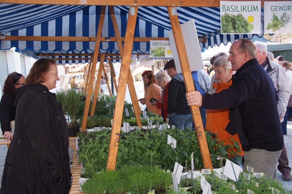 Frühlingserwachen Dettingen 2012