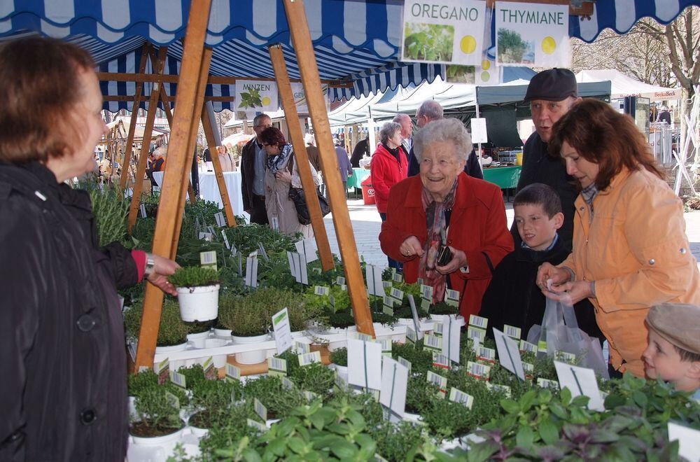 Frühlingserwachen Dettingen 2012