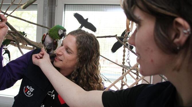 Jede Menge Spaß mit Tieren hatten die vielen Besucher des Frühlingsfest des Tierheims.