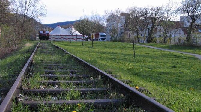 Ein Standort, der für den Sporthallen-Neubau infrage kommt: Der Bahnhofs-Anger mitten in der Stadt. GEA-FOTOS: SCHÖBEL